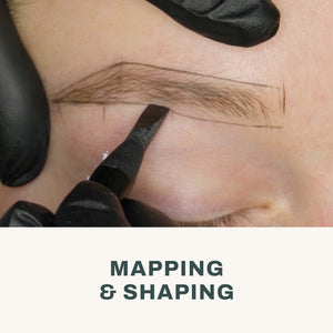 The Pigment - Microblading & Shading Basic Course