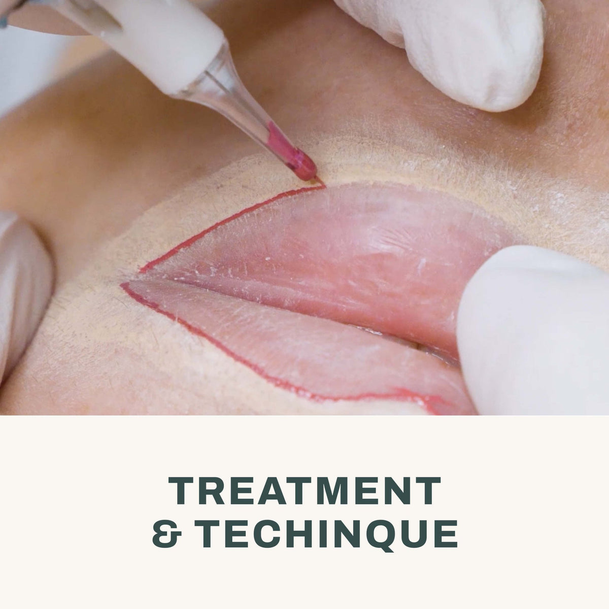The Pigment - PMU Lips Course